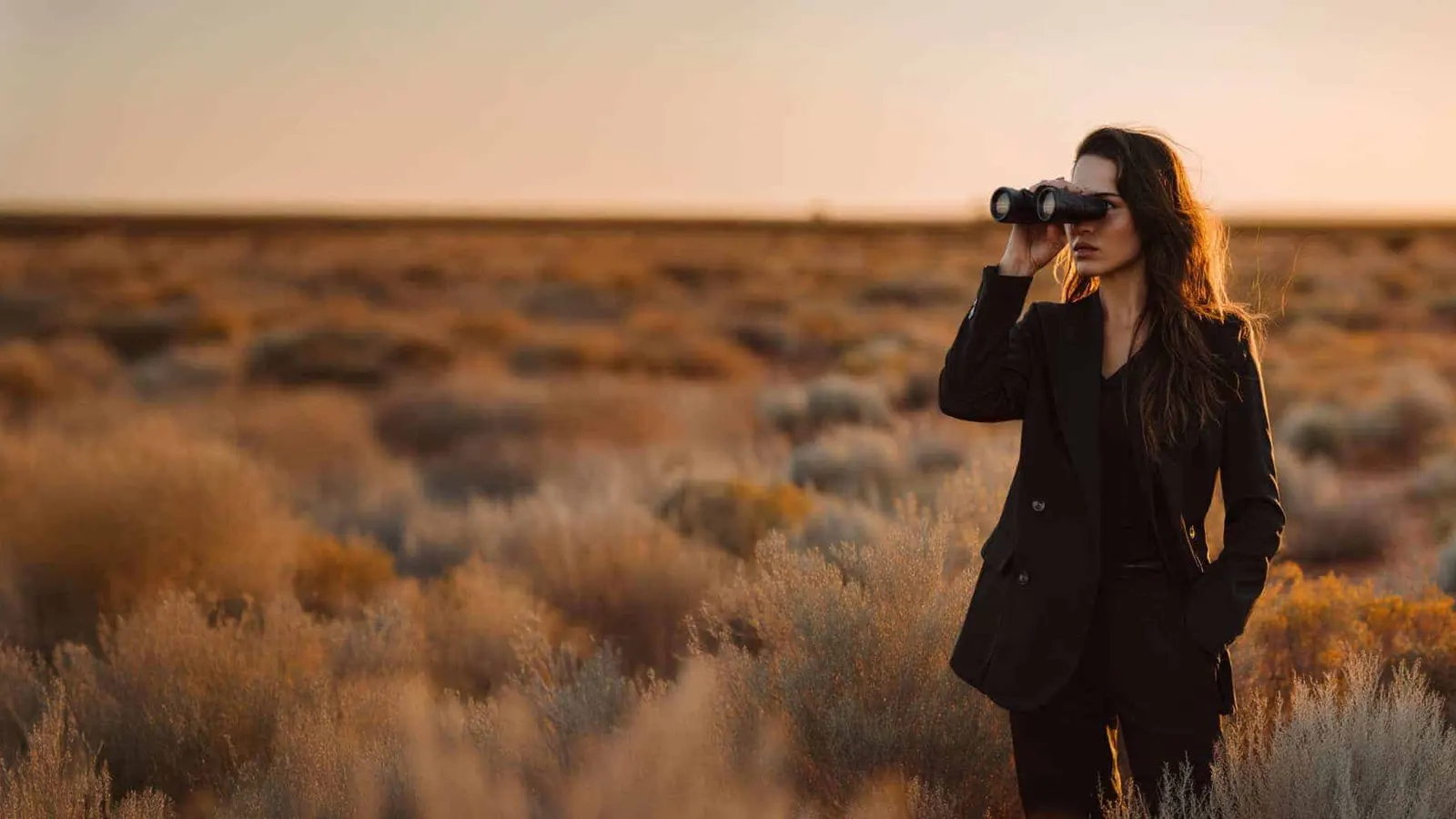 Best web designers for small businesses in Australia: an honest comparison