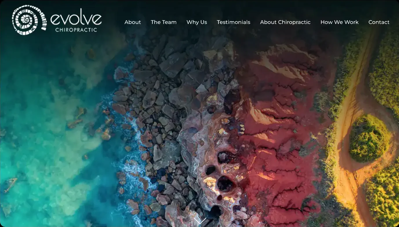 Evolve Chiropractic website
